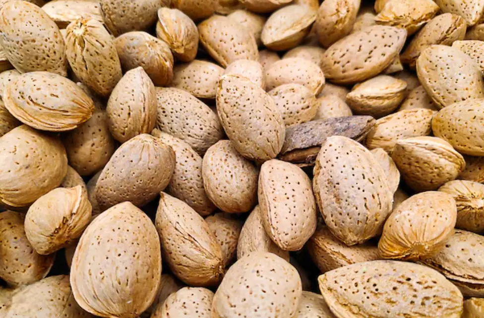 almond2