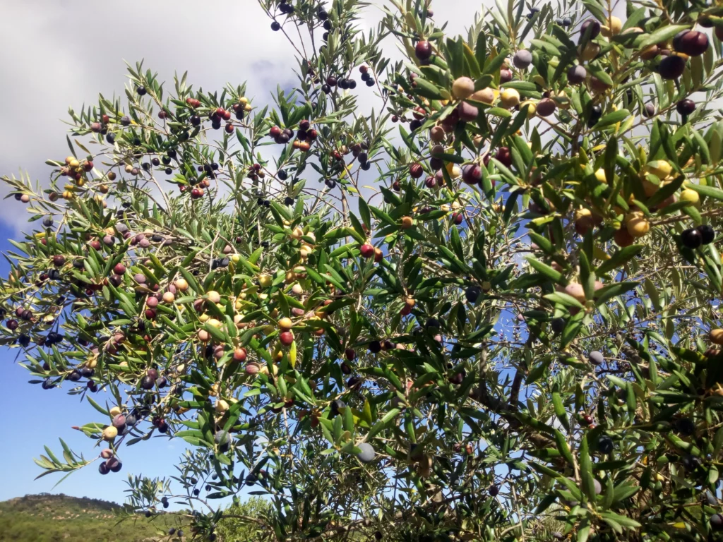 img 20171105 121734
